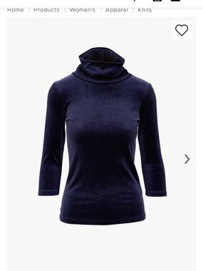 L'AGENCE Black Velvet Turtleneck Top